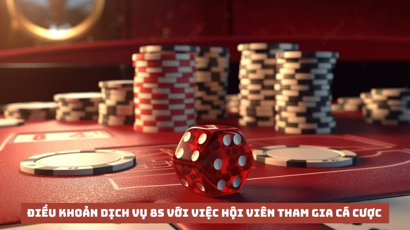 điều khoản dịch vụ 8s tham gia cá cược