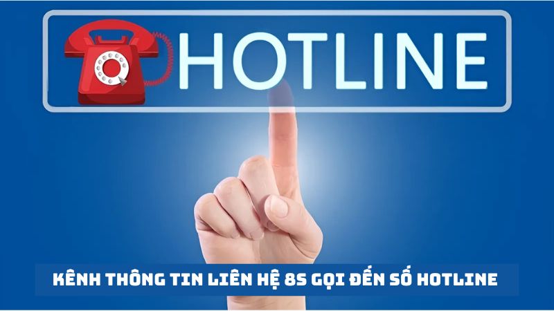 thông tin liên hệ 8s